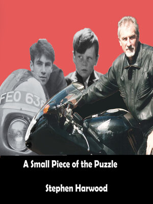 cover image of A small Piece of the Puzzle